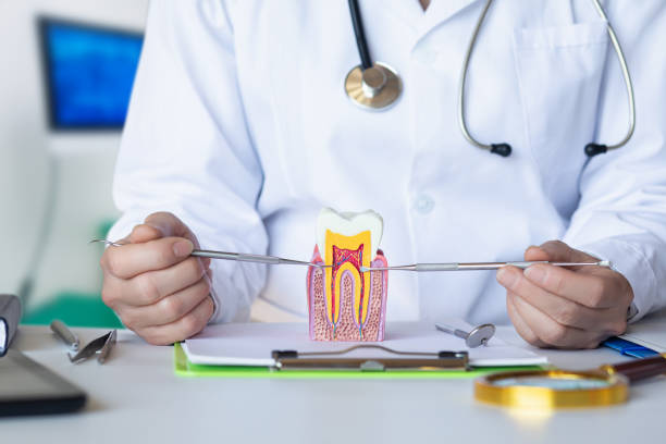 Best Dentist for Tooth Abscess  in Dorothy, NJ